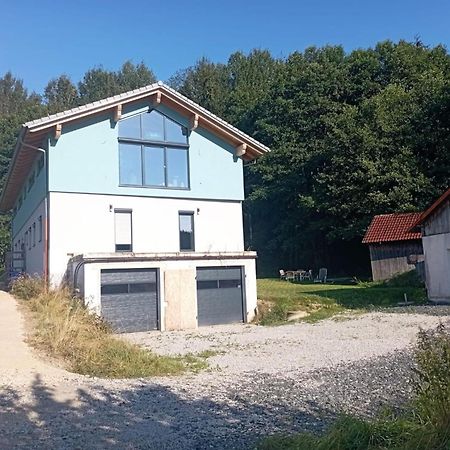 Fewo Wiesenblick Waldmuenchen Luaran gambar